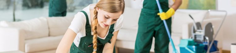 House Deep Cleaning vs Regular Cleaning