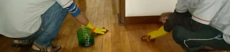 Parquet Polishing Service