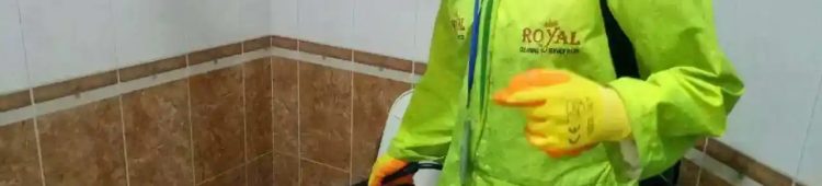 Pest Control Service