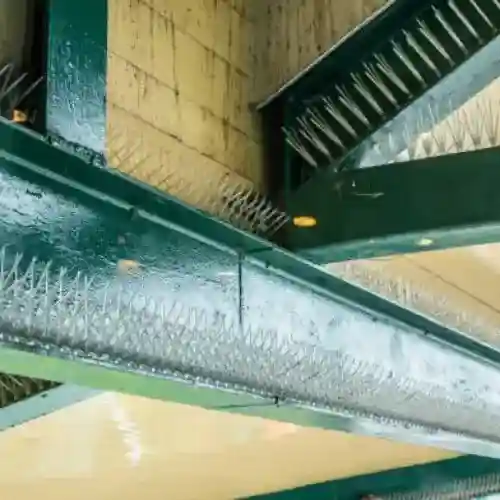 Bird Spikes Installation Service
