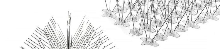 Bird Spikes Service