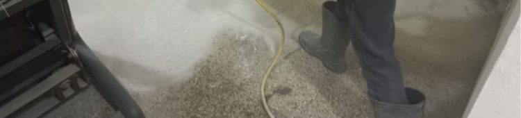 services-662f5f9a8f4c0Tile-cleaning