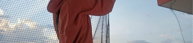 Pigeon Net Installation Service