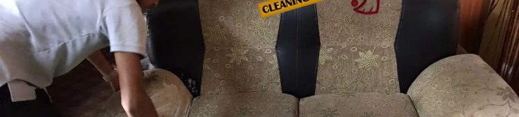 Sofa Cleaning Service